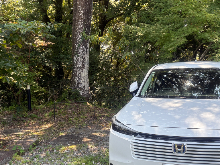 念願のヴェゼル