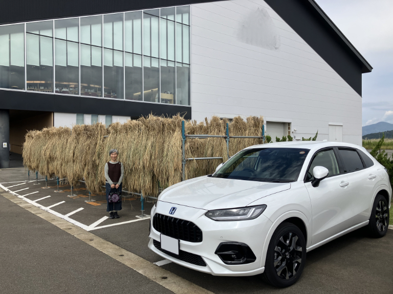 何処までも静かで快速