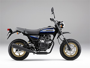 エイプ・100 Type D エイプ・100 Type D