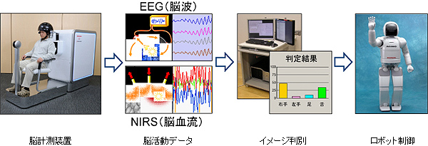 新開発のBMIを用いた実験の概要 新開発のBMIを用いた実験の概要