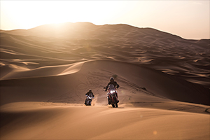 CRF1000L Africa Twin CRF1000L Africa Twin
