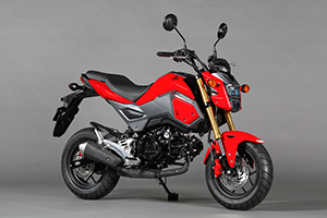 GROM(参考出品車・市販予定車) GROM(参考出品車・市販予定車)