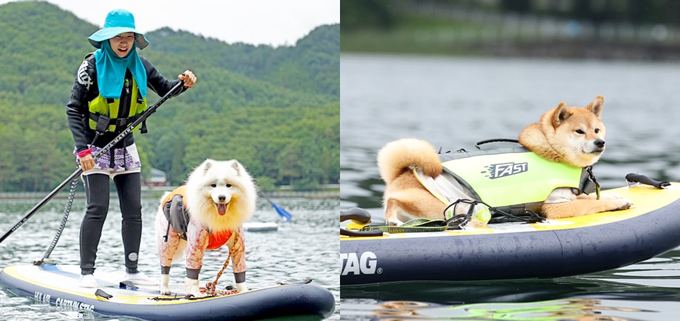 【ドッグサップ】愛犬と初夏の自然を満喫！体験レポート