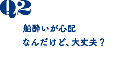 船酔いが心配なんだけど、大丈夫？