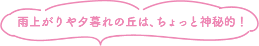 雨上がりや夕暮れの丘は、ちょっと神秘的！