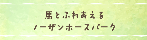 馬とふれあえるノーザンホースパーク