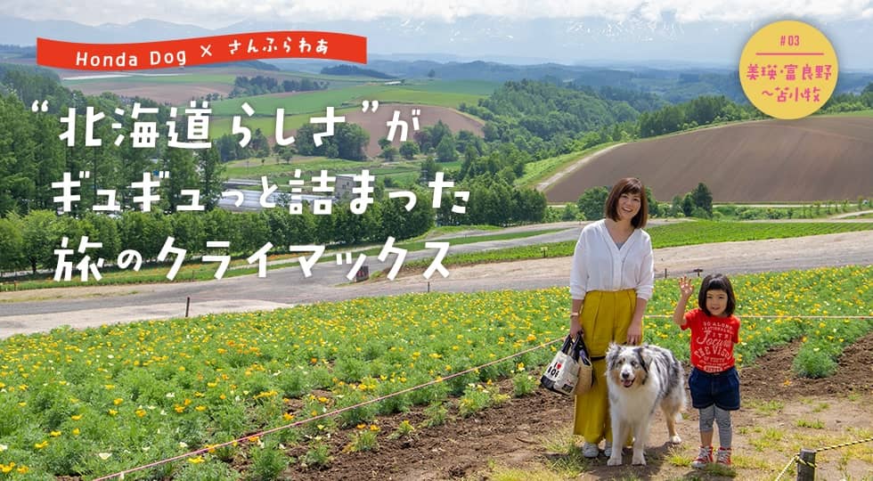 “北海道らしさ” がギュギュっと詰まった旅のクライマックス #03 美瑛・富良野〜苫小牧