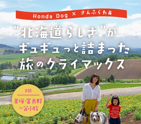 “北海道らしさ” がギュギュっと詰まった旅のクライマックス #03 美瑛・富良野〜苫小牧