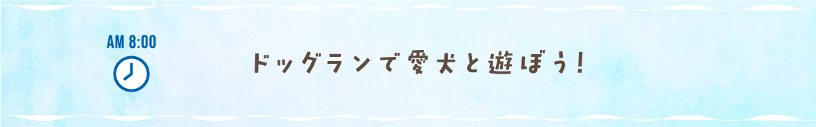 AM 8:00 ドッグランで愛犬と遊ぼう！