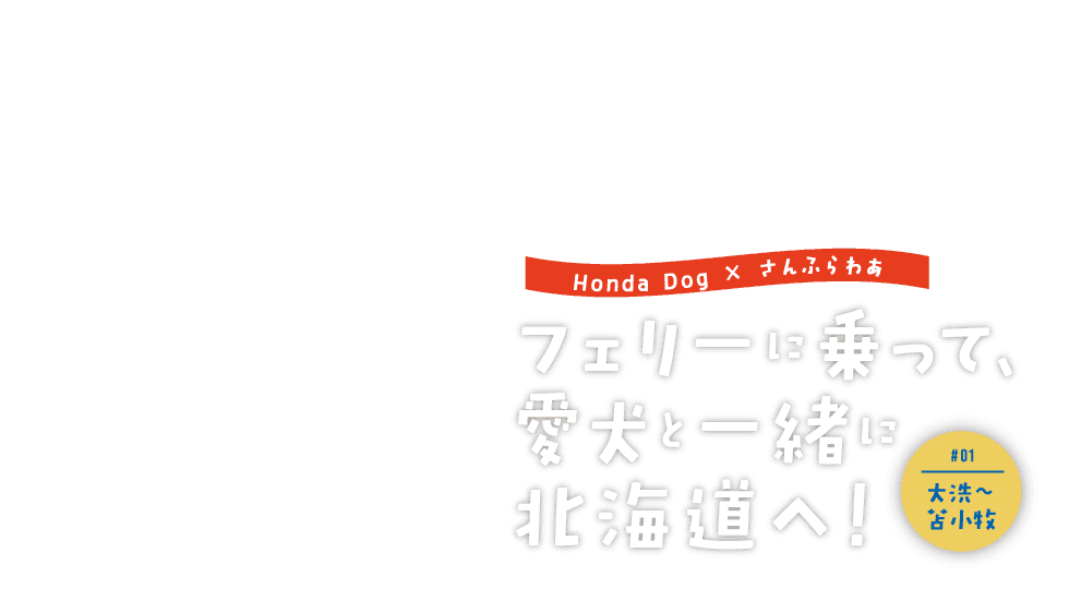 フェリーに乗って、愛犬と一緒に北海道へ！#1 大洗〜苫小牧