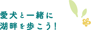 愛犬と一緒に湖畔を歩こう！