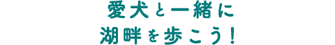 愛犬と一緒に湖畔を歩こう！