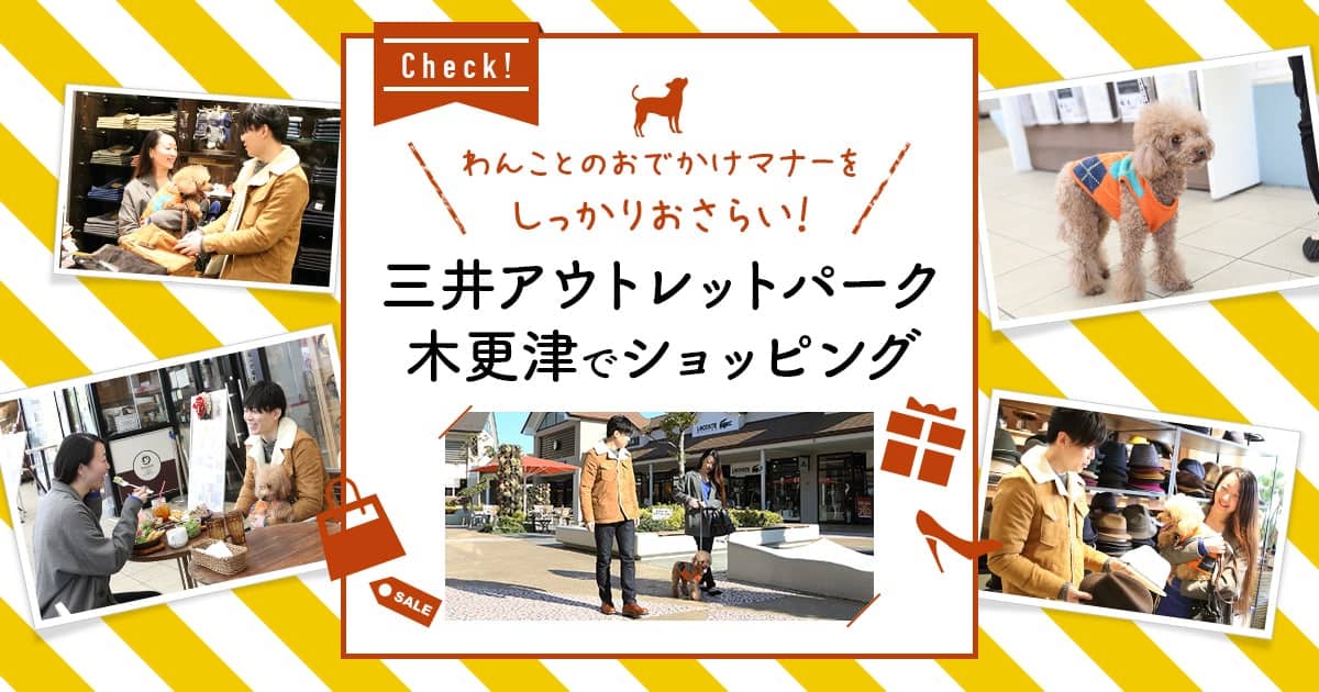 わんことのおでかけマナーをしっかりおさらい！ 三井アウトレット