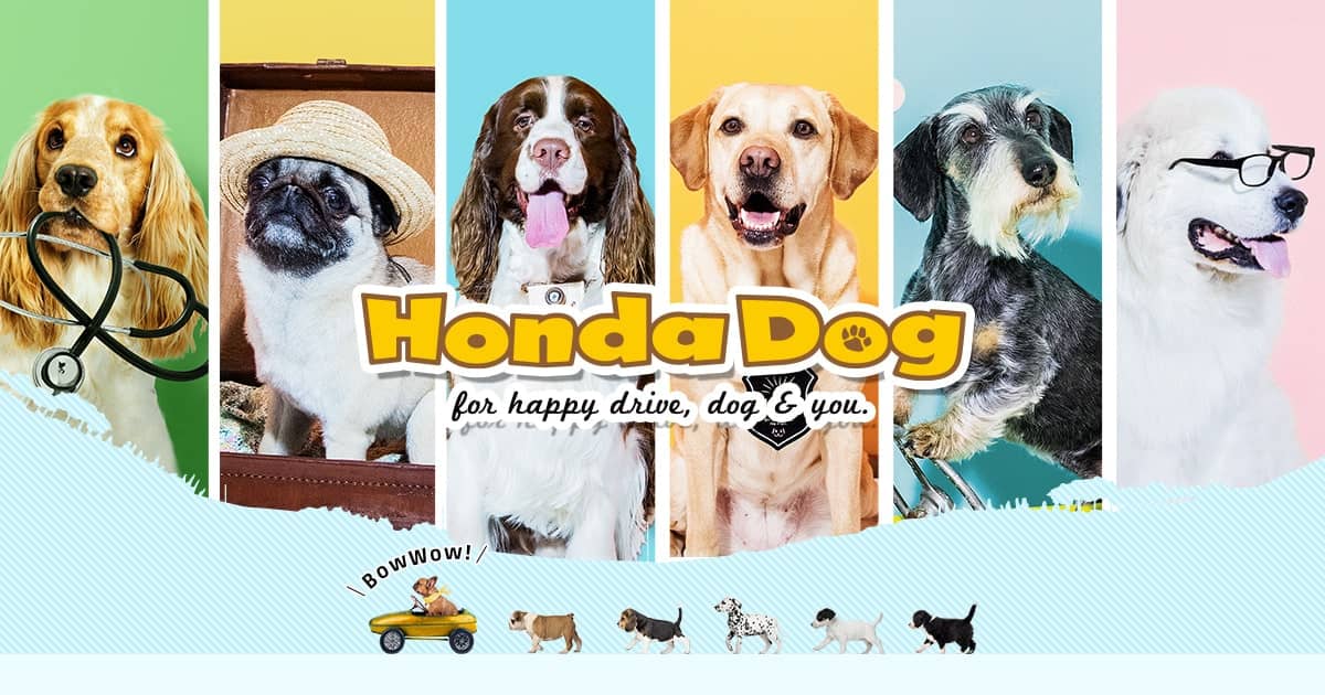 身につけておきたいわんこのマナー講座vol 5 準備編 おでかけ情報 Honda Dog 身につけておきたいわんこのマナー講座vol 5 準備編 おでかけ情報 Honda Dog