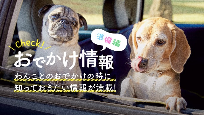 おでかけ情報 Honda Dog Honda