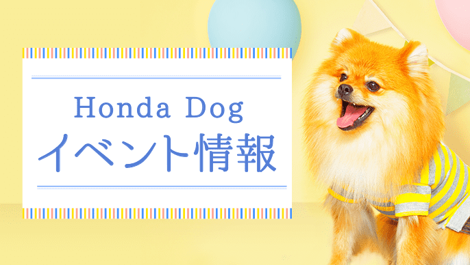 高知自動車道 高速道路サービスエリア パーキングエリア情報 Honda Dog Honda