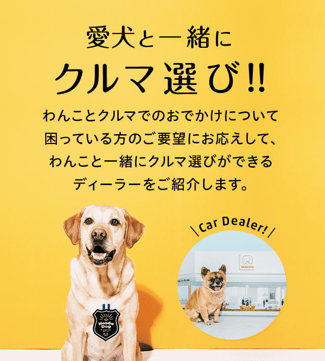 愛犬と一緒にクルマ選び！！わんことクルマでのおでかけについて困っている方のご要望にお応えして、わんこと一緒にクルマ選びができるディーラーをご紹介します。