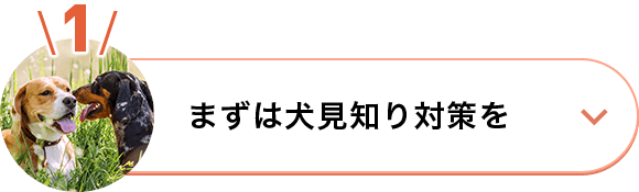 まずは犬見知り対策を