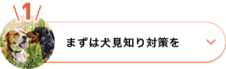 まずは犬見知り対策を