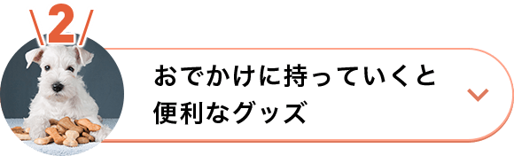 おでかけに持っていくと便利なグッズ