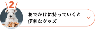 おでかけに持っていくと便利なグッズ