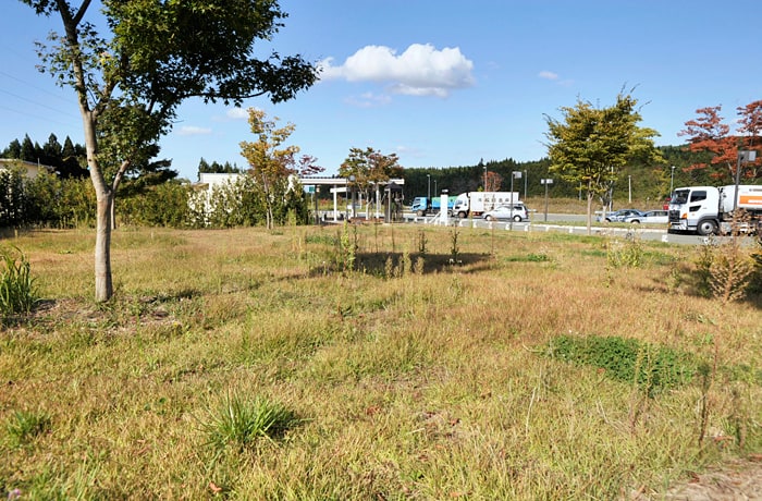 広い緑地でお散歩をしましょう！