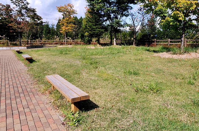 建物の近くには、ベンチが点在しています。