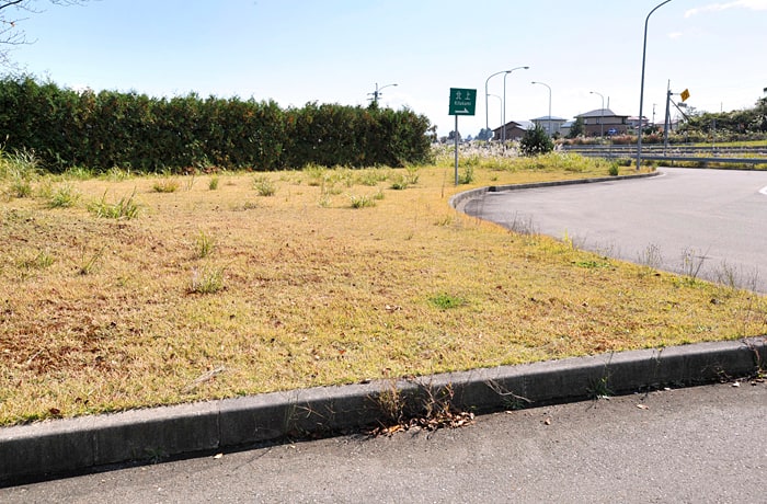 出口側の緑地です。