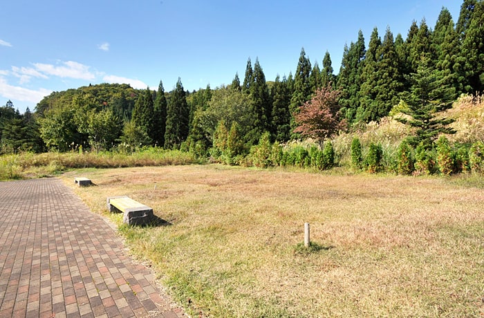 たくさんの緑に囲まれた緑地があります。