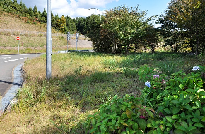 入り口側の緑地です。道路が近いので注意しましょう。