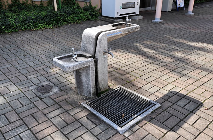 水飲み場がありますよ。