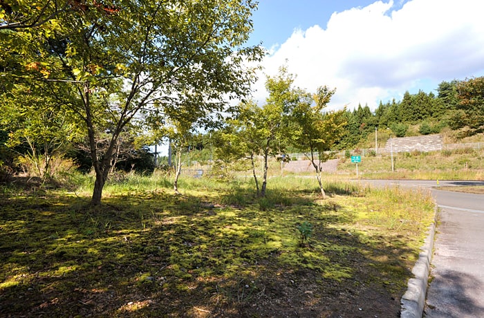 出口側の緑地です。こちらも道路に近いので注意しましょう。