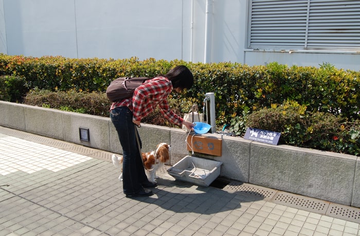 5階から階段を下った右手に、ペット専用水飲み場がありますよ。