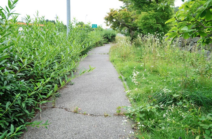 建物左手には緑地と遊歩道があります。