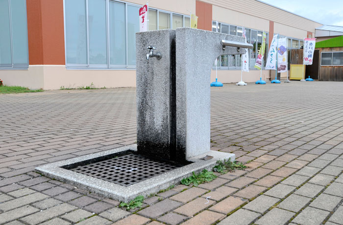 水飲み場もありますよ。
