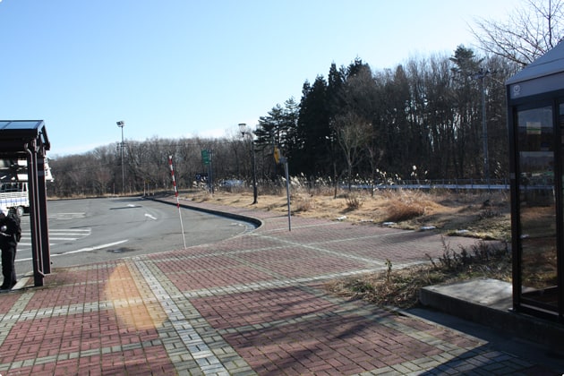 庭園の反対側にも、少しばかりの緑地があります。