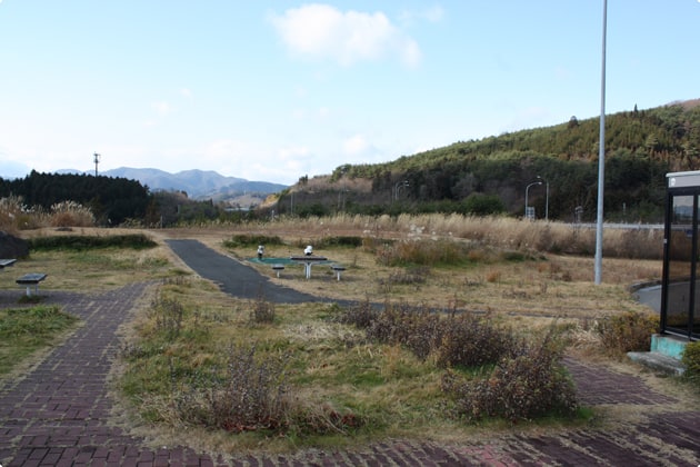 遊歩道やベンチが設置され、お散歩を楽しむこともできます。