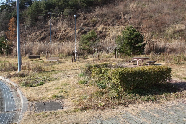 ベンチ席が点在しています。