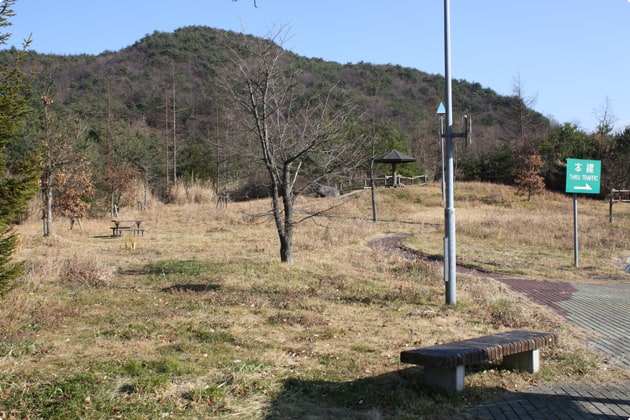パーキングエリア出口側にも緑地があります。