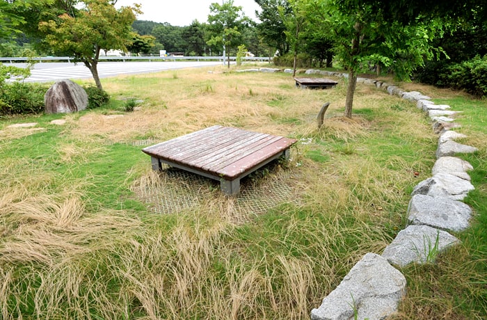 わんこと休める緑地があります。