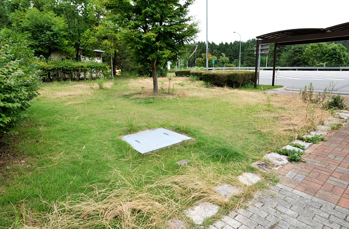 緑地がこちらにもあります。