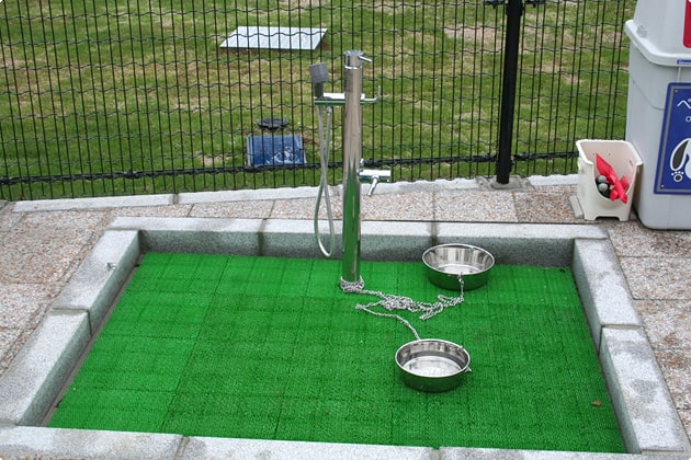 こちらはシャワー付きの水飲み場です。