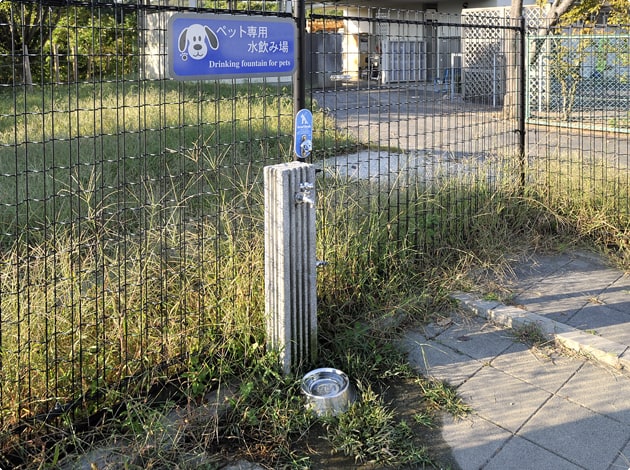 水飲み場が設置されていますよ。