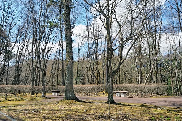 緑地にもベンチがあります。