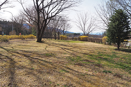 わんこが休憩できる広い緑地があります。