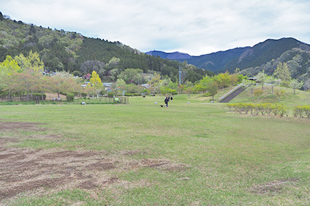 ドッグランの周囲は広い芝生の公園です。