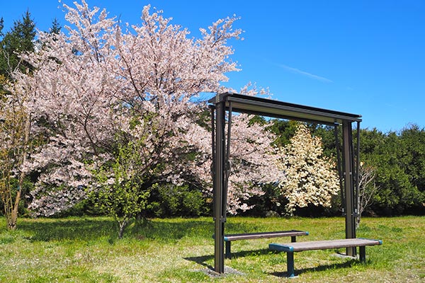 緑地には開閉式屋根が付いたテラス席があります。