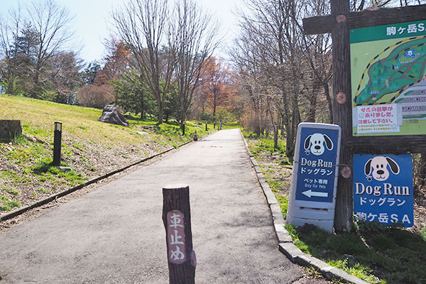 ドッグランは遊歩道を上がった先にあります。