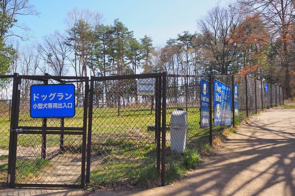 ドッグランは土と芝で、傾斜があります。