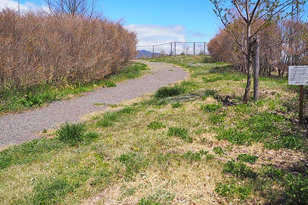 緑地が少しだけあります。